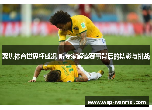 聚焦体育世界杯盛况 听专家解读赛事背后的精彩与挑战