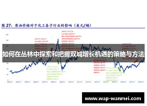 如何在丛林中探索和把握双城增长机遇的策略与方法