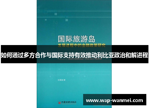 如何通过多方合作与国际支持有效推动利比亚政治和解进程